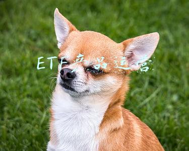 ETF产品运营