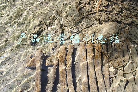 产品培训心得体会总结简短(学习新东西的一点体会)