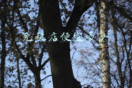 三亚免税店便宜多少 三亚免税店便宜多少钱