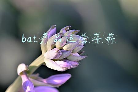 bat运营(20天让运营团队从平庸到优秀，我用了哪5招？)