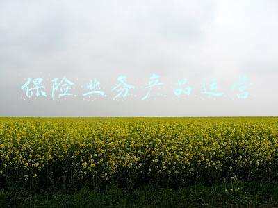 保险产品营销(贝小保：做保险销售的六大技巧)