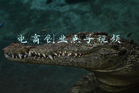 电商三创赛创意点子(台湾三姐妹先后登陆：“来大陆求学，是两岸青年交流很好的方式”)
