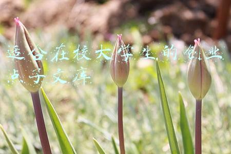 适合在校大学生的创业点子文库