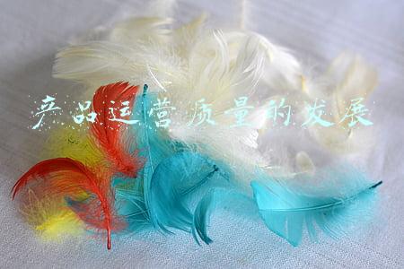 产品运营质量的发展