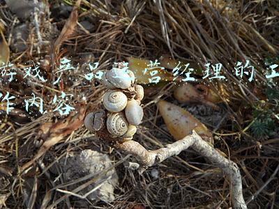 游戏公司运营工作内容(内容运营迎来新赛点，开发者该如何发力游戏社区？)