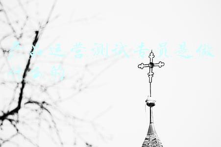 产品开发专员是做什么的(他山之石｜项目化学习，请让学生选择合适的“学习支架”)