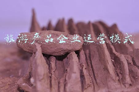轻资产运营模式的企业(轻资产运营！国内最大的房产代建公司，市占率超22%)