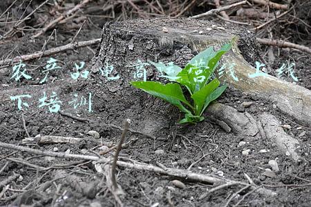 电商运营线上培训班(培训农村电商人才 促进农产品销售 全省农村电商培训班今天开班)