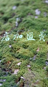 家政清洗加盟-家政干洗店加盟费多少