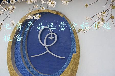 电商产品运营分析开题报告