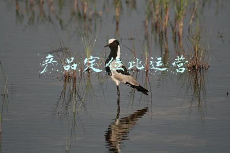 产品定位比运营