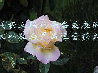 互联网运营分析(「行业深度」洞察2021：中国专网通信行业竞争格局及市场份额分析)