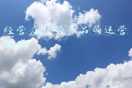 经营店铺的产品的运营报告
