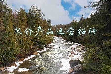 软件产品运营招聘