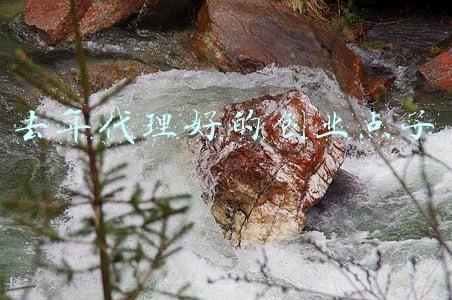 去年代理好的创业点子