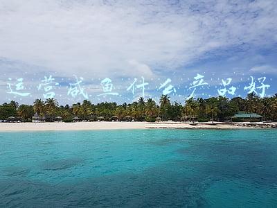 咸鱼怎么卖虚拟产品(闲鱼带货项目实操流程分解)
