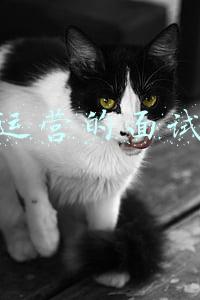 产品运营面试技巧(产品运营常见的面试问题都有哪些？)