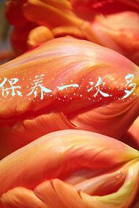 奥迪4s店保养一次车多少钱(4s店保养一次车多少钱)