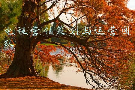 营销策划团队名称(2020-2021 UC（统一通信）行业上市公司趋势)