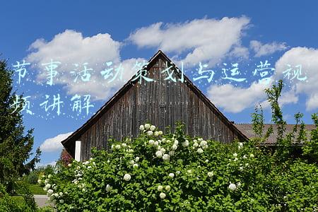 节事活动策划与运营视频讲解