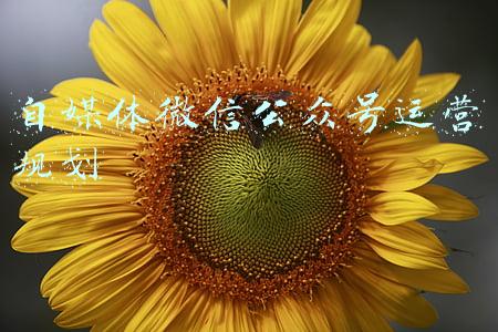 微信公众号内容规划(爱好才能持久，搞定公众号了)