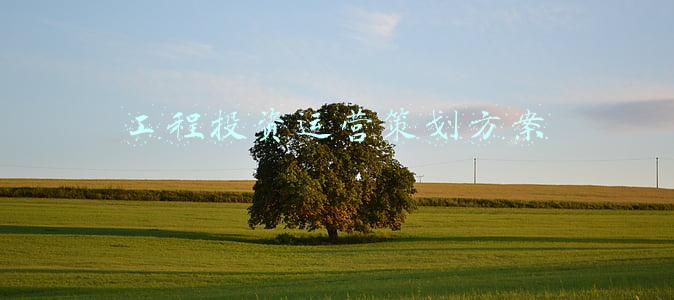 工程投资运营策划方案