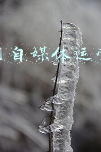新浪网是什么级别媒体(新浪完成私有化：门户业务与微博整合，财经体育等将独立发展)