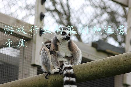 游戏策划对游戏的理解和看法(席德梅尔：游戏设计的技巧和建议)