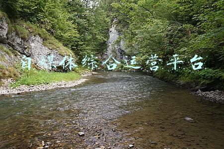 自媒体综合运营平台