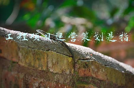 工程项目运营策划是指