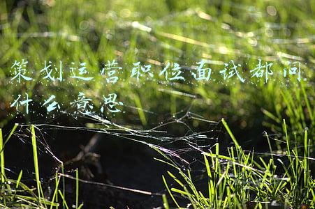 运营岗位面试问什么(运营面试技巧之系列一：关于拉新，你有什么经验？)