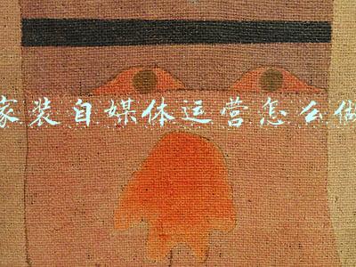 家装自媒体运营怎么做
