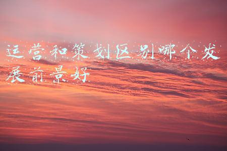运营和策划区别哪个发展前景好
