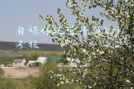 自媒体运营专员kpi考核
