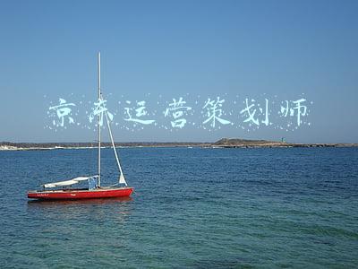 京东运营策划师