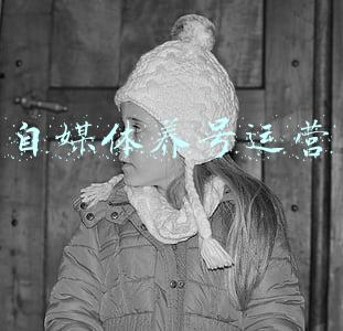 自媒体养号运营