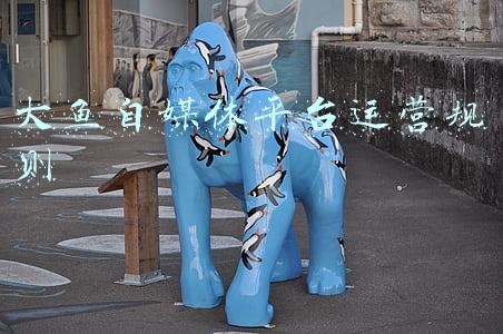 大鱼自媒体平台运营规则