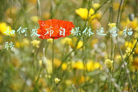 媒体发布文章(网站发布自媒体抄袭文章算不算侵权？法院：要看是否遵守“避风港”原则)