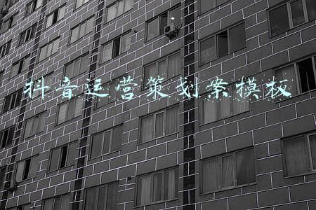 抖音运营策划案模板