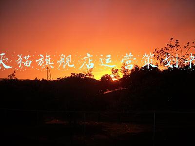 天猫旗舰店运营策划书