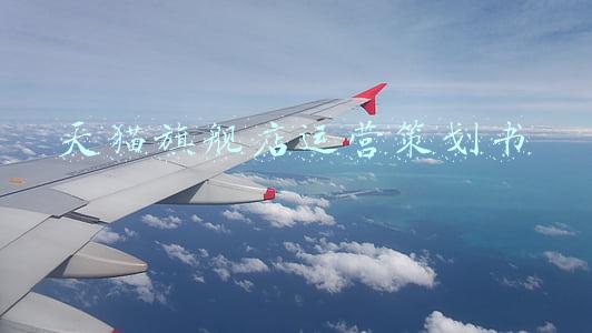 天猫旗舰店运营周总结(高大上！第一期—天猫运营总结PPT模板)