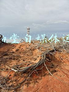 微拍堂直播运营(企业入局微拍堂，老店玩出新花样)