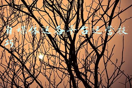 新媒体标题技巧(新媒体内容运营技巧：如何取一个吸引眼球的标题？（经典珍藏版）)