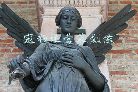 宠物运营策划案