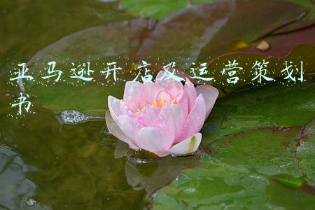 亚马逊开店及运营策划书