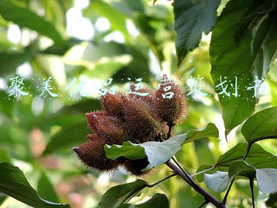 聚美优品运营策划书