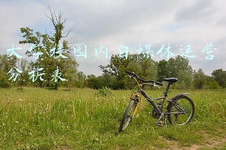 大学校园内自媒体运营分析表