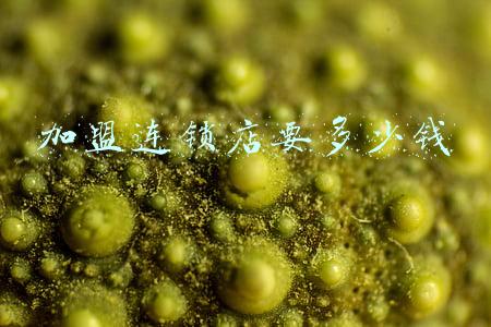 加盟连锁店有哪些 加盟连锁店有哪些项目