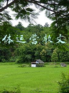 自媒体运营软文吸粉