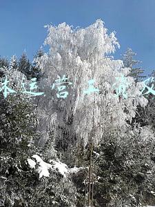 做自媒体的收入(做自媒体5年，粉丝60万，最近收入跌至每天个位数，为何我还坚持)
